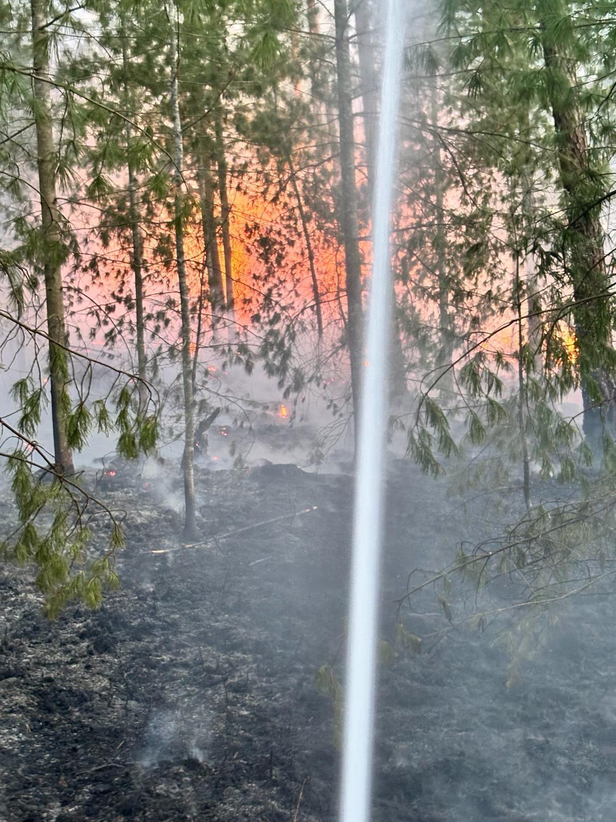 Aufnahme vom Brandort