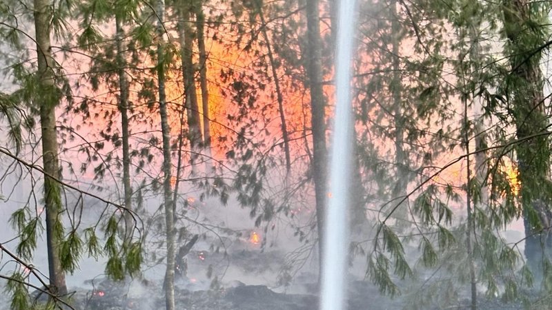 Aufnahme vom Brandort | Bild: Feuerwehr Stadt Roding Aufnahme vom Brandort