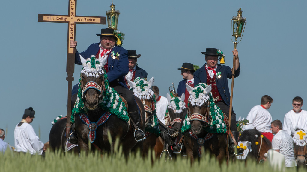 Teilnehmer des Kötztinger Pfingstritts reiten mit ihren Pferden hinter einem Feld.