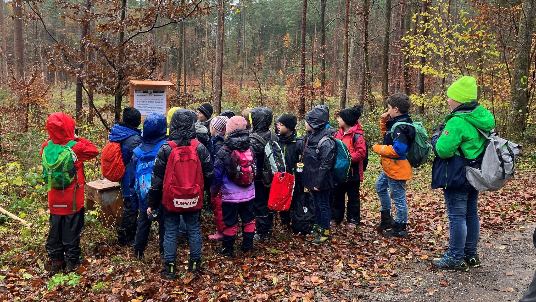 Etwa 20 Drittklässler der Grundschule Oberhaid stehen vor einem Schild im Wald, nachdem sie Eicheln gesammelt und gesät haben
