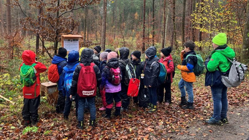 Etwa 20 Drittklässler der Grundschule Oberhaid stehen vor einem Schild im Wald, nachdem sie Eicheln gesammelt und gesät haben | Bild: BR/Rebecca Bück Etwa 20 Drittklässler der Grundschule Oberhaid stehen vor einem Schild im Wald, nachdem sie Eicheln gesammelt und gesät haben