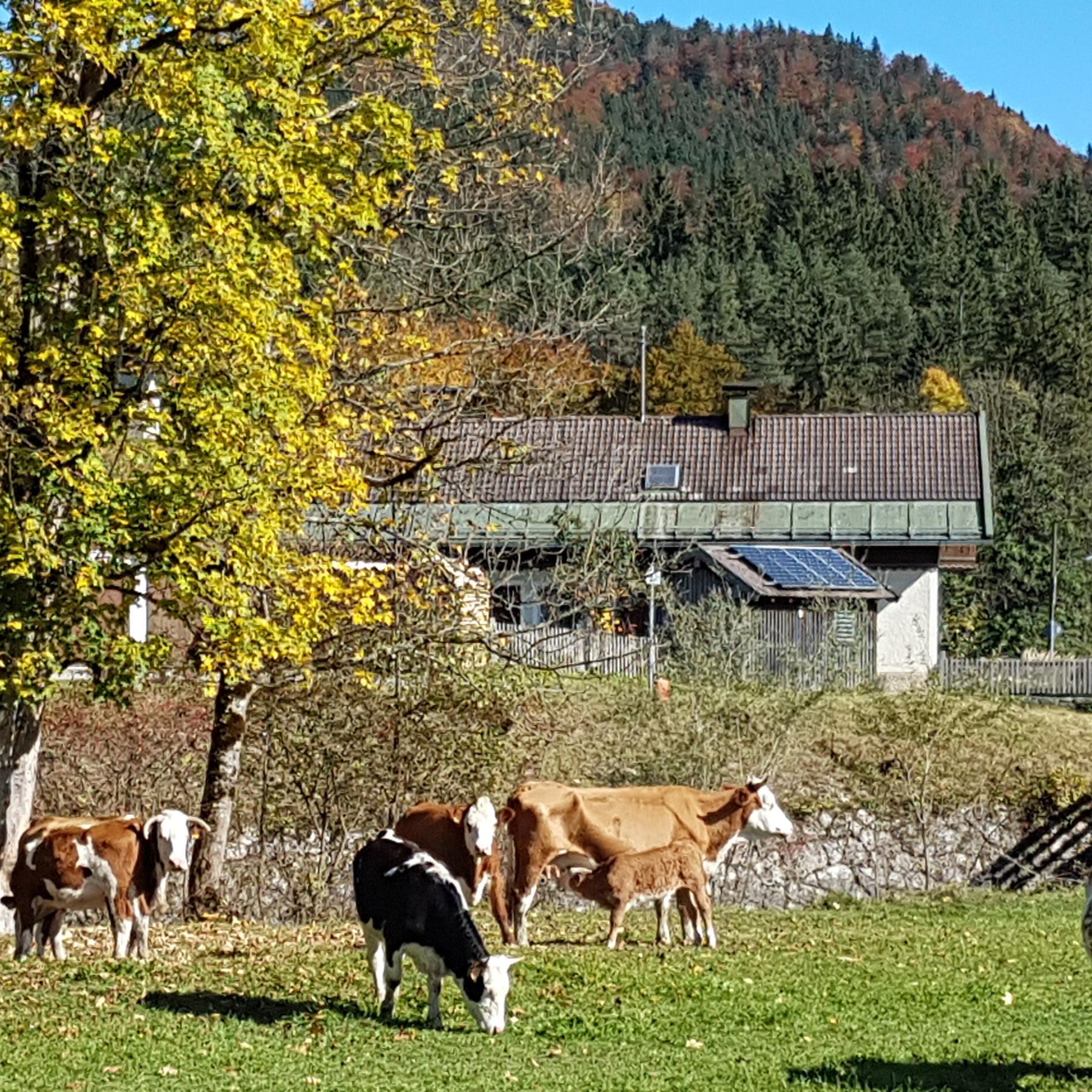 radioWissen