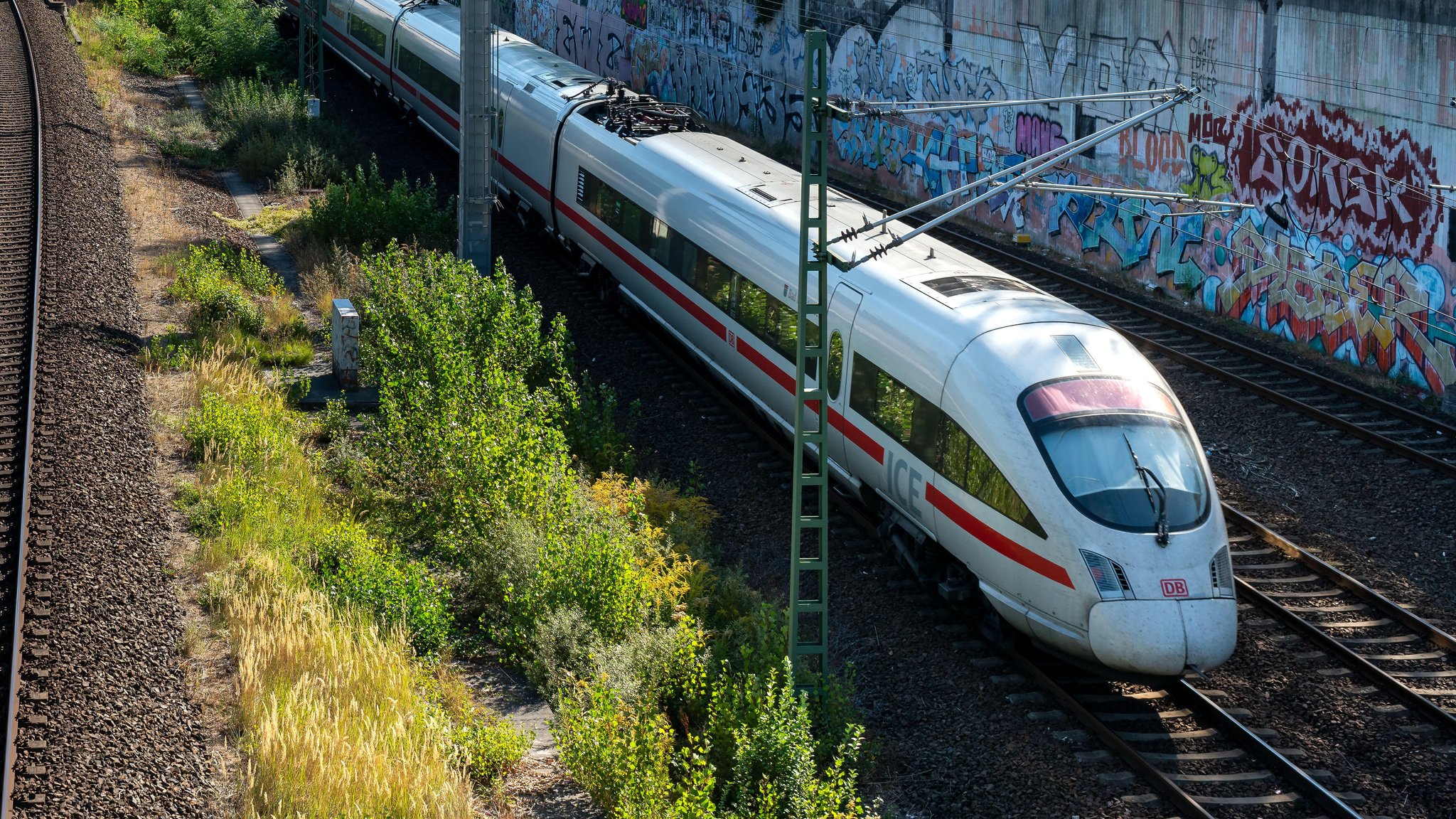 ICE fährt gegen Ast: Fahrgäste warten stundenlang im Zug