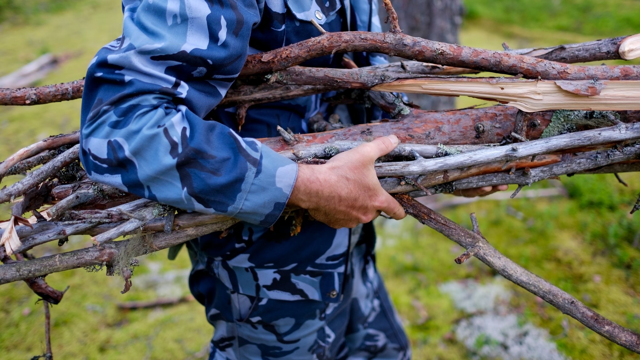 Holz sammeln im Wald: Was ist erlaubt, was ist verboten?