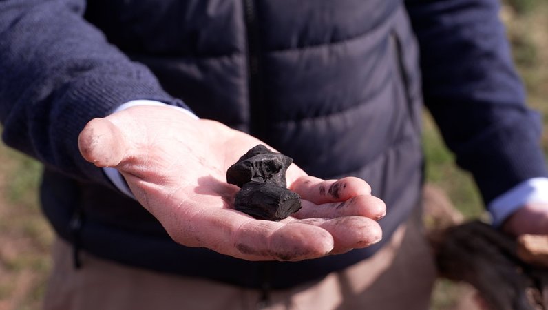 Diese Pflanzenkohle wird mit Humus vermischt und im Weinberg verteilt. | Bild: BR / Christian Schubert Diese Pflanzenkohle wird mit Humus vermischt und im Weinberg verteilt.