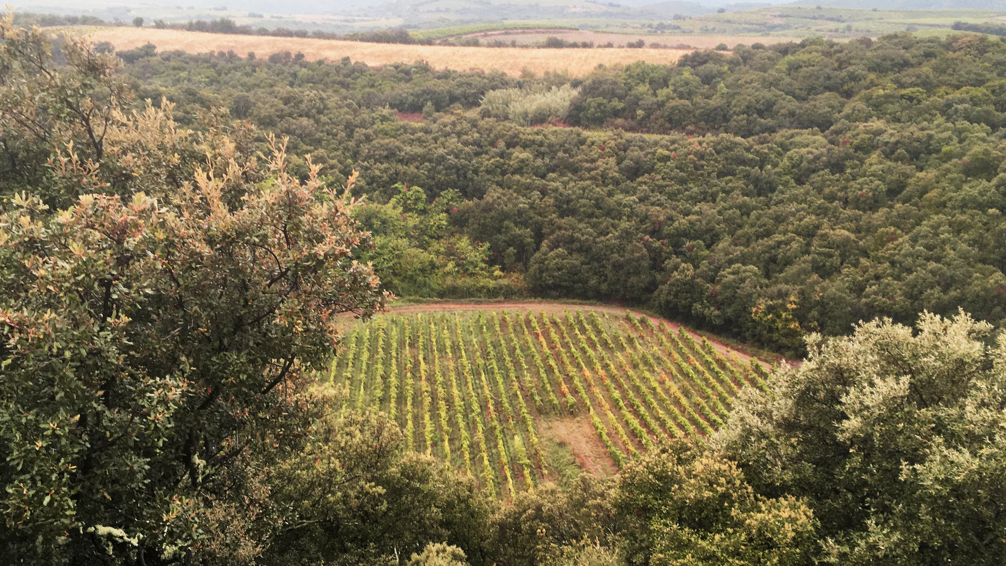 Das Weingut "Domaine du Météore in Frankreich liegt zum Teil in einer Senke. Dem Geologen Frank Brenker zufolge handelt es sich hierbei um den Krater eines Meteoriteneinschlags. 