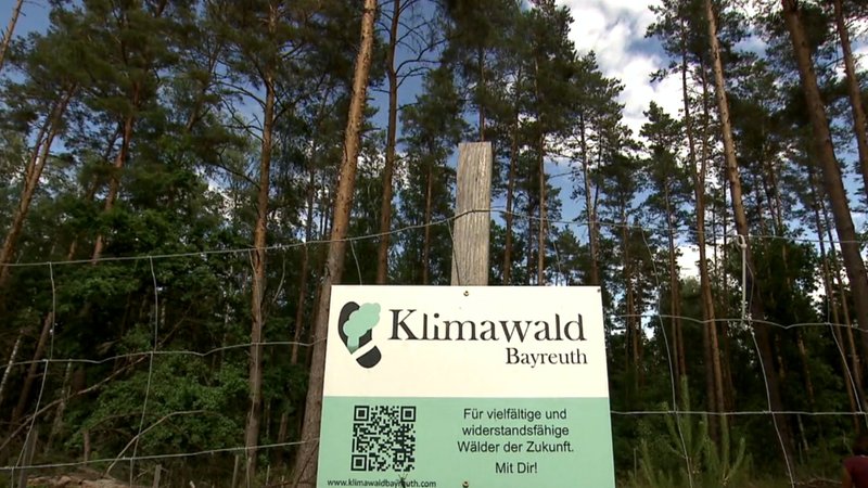 An einem Zaun hängt ein Schild mit der Aufschrift "Klimawald Bayreuth", dahinter Waldbäume. 