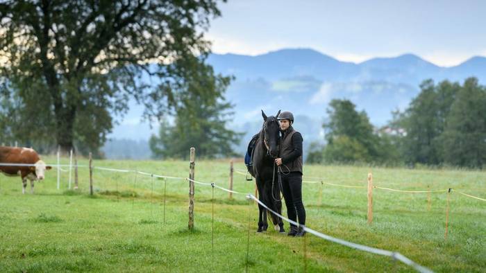 Sturm Der Liebe 3293 Sturm Der Liebe 3293