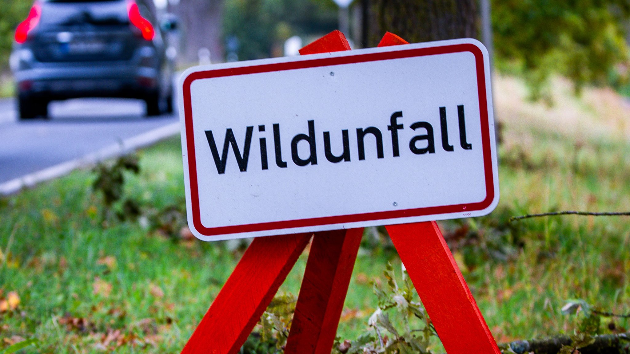 Ein Warnschild mit der Aufschrift „Wildunfall“ steht an einer Bundesstraße. | Bild: picture alliance/dpa | Jens Büttner Ein Warnschild mit der Aufschrift „Wildunfall“ steht an einer Bundesstraße.