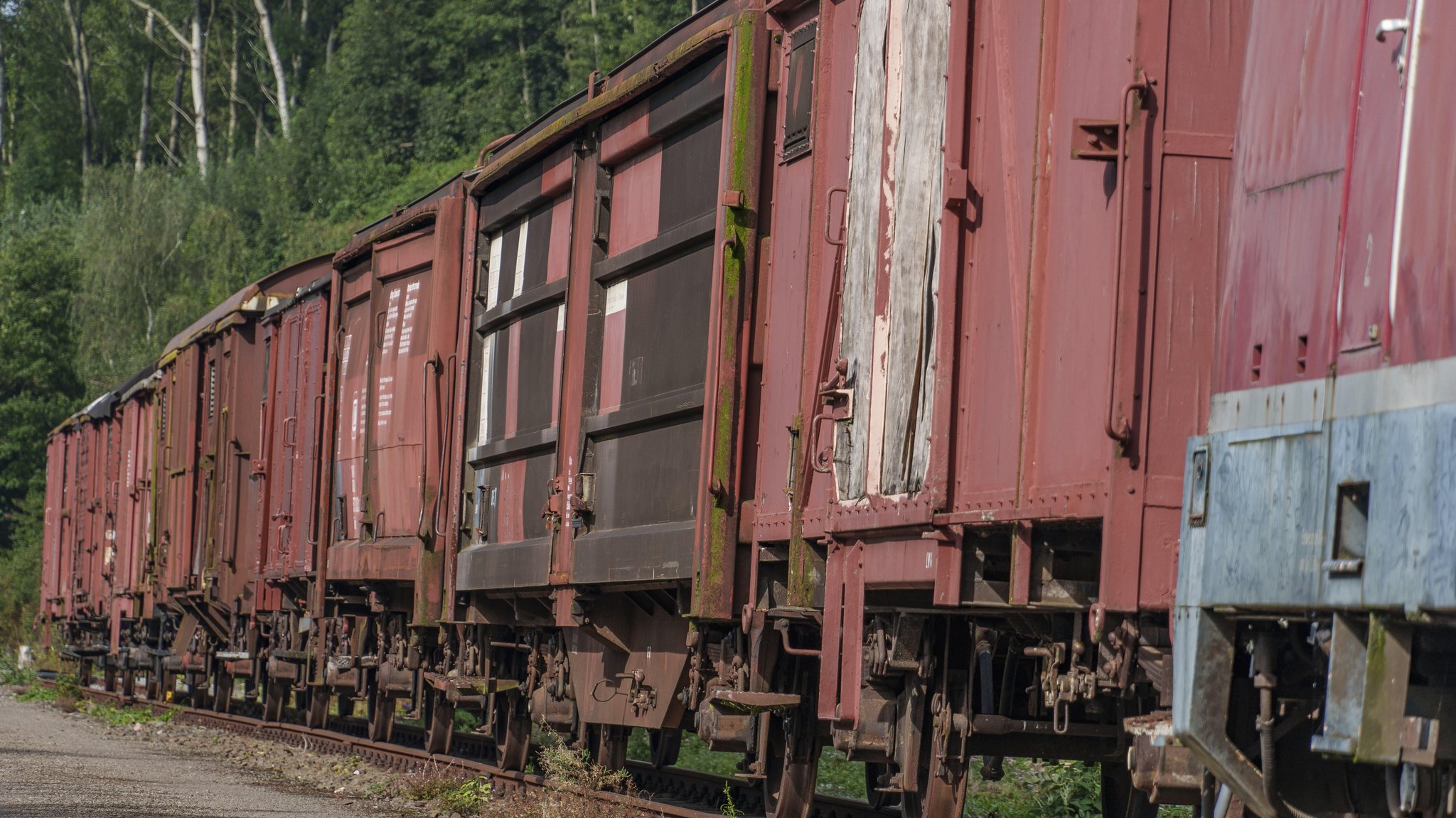Symbolbild: Güterwagen auf einem Gleis | Bild: picture alliance / imageBROKER | Stephan Suehling Symbolbild: Güterwagen auf einem Gleis