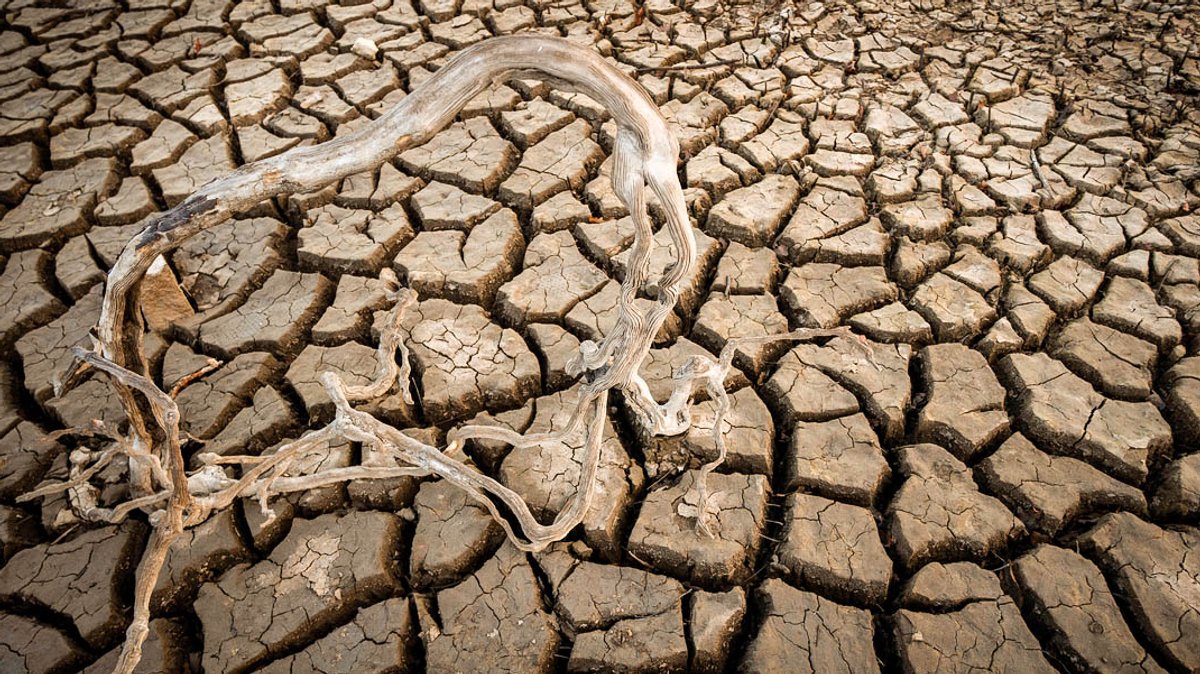 Studie: Extreme Dürre in Europa alle 20 Jahre zu erwarten