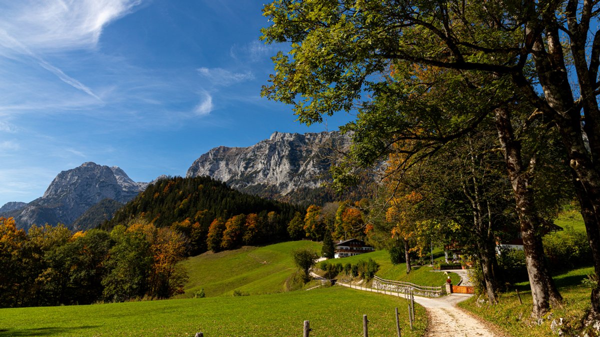 Ein Wanderweg führt an Weiden vorbei Richtung Berge im Berchtesgadener Land. Alles getaucht in goldenes Herbstlicht.