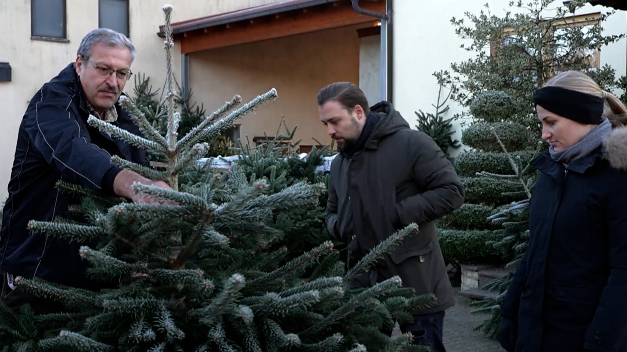 Junges Paar beim Weihnachtsbaumkauf