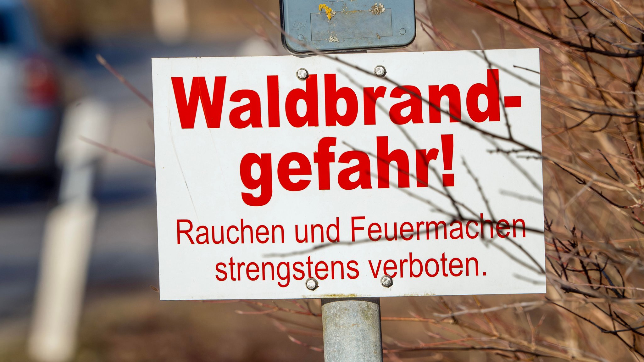 Hitzewarnungen und Dürre: Steigt die Waldbrandgefahr in Bayern?