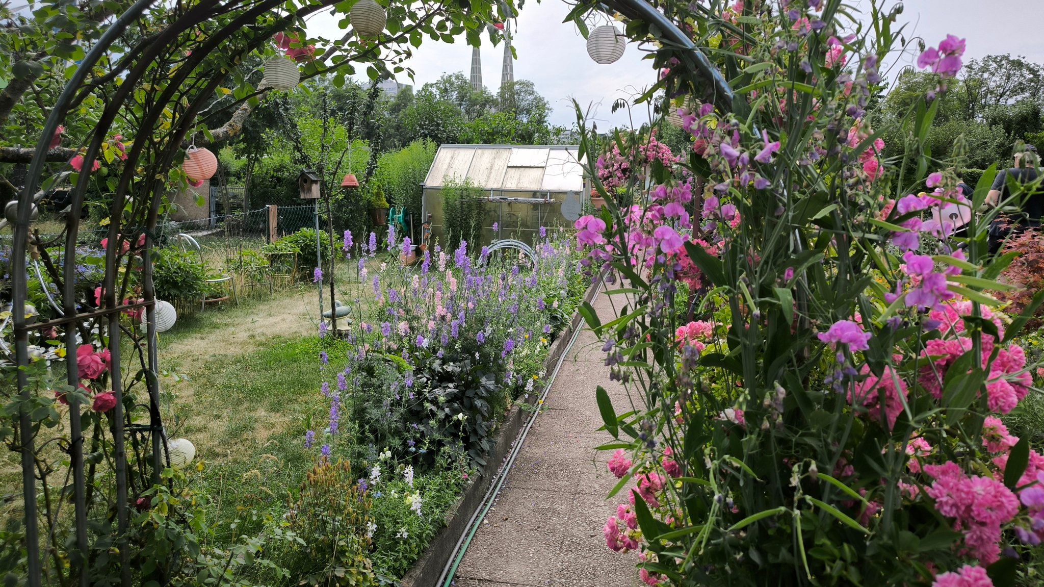 (Symbolbild) Ein Rosenbogen in einem Kleingarten in Augsburg-Herrenbach | Bild: Hermann Scholz/BR (Symbolbild) Ein Rosenbogen in einem Kleingarten in Augsburg-Herrenbach