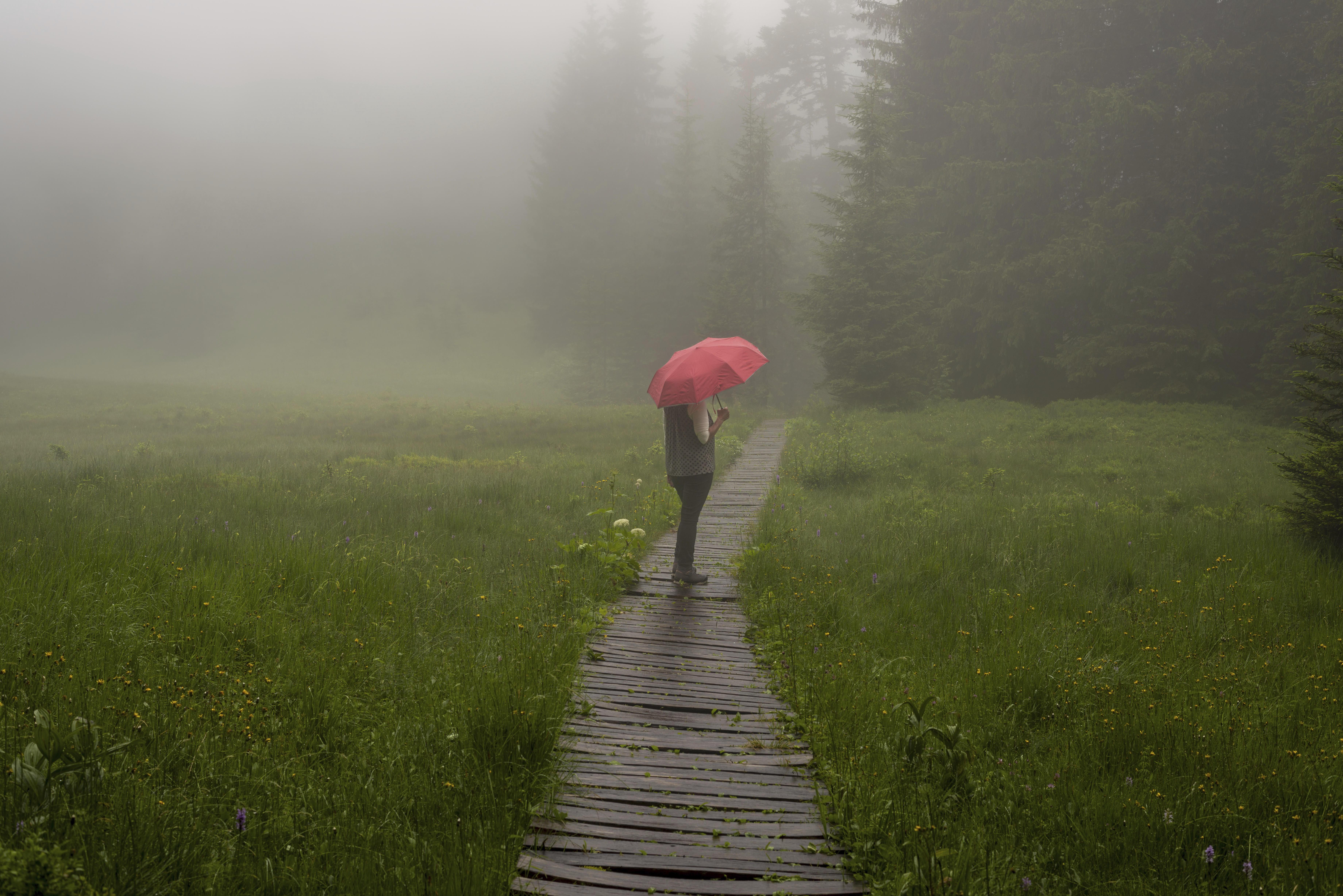 Eine Frau mit Regenschirm in einer Moorlandschaft.