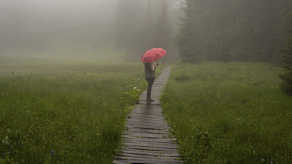Zum Wochenbeginn kommt Regen nach Bayern – örtlich mit Gewitter