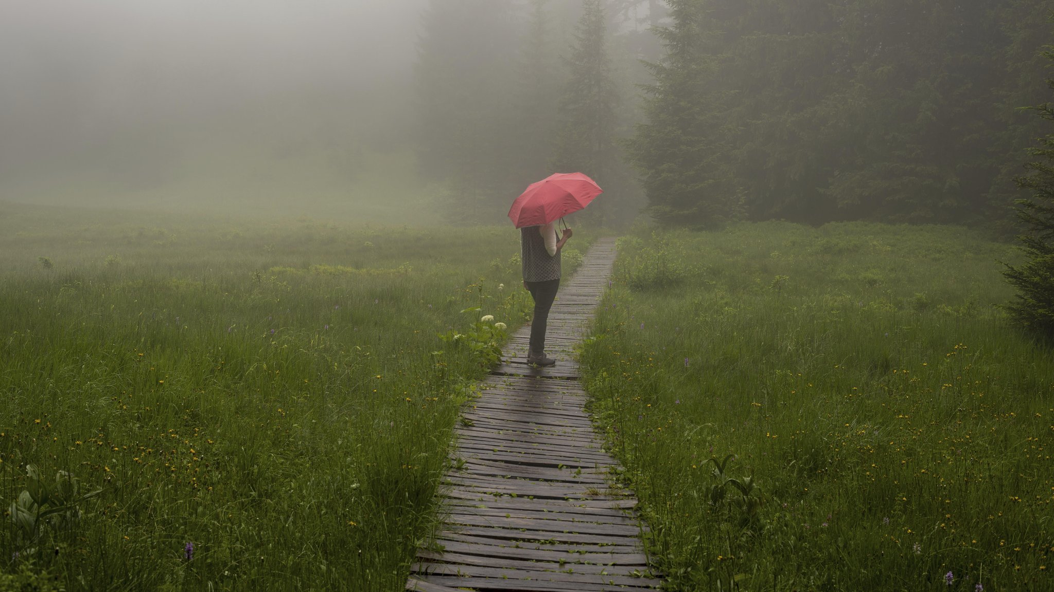 Zum Wochenbeginn kommt Regen nach Bayern – örtlich mit Gewitter