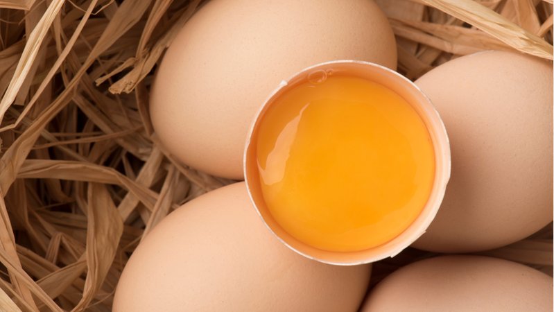 Eier im Stroh. Steckt im Eigelb oder Eiweiß mehr Protein? 