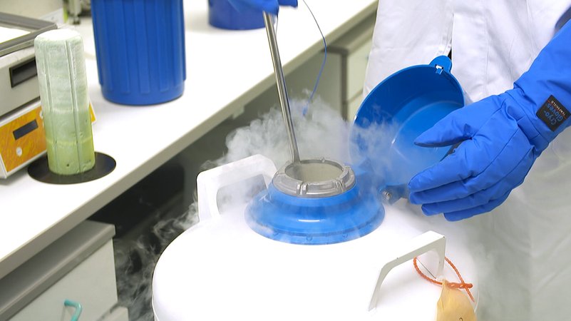 Aus einem weiß-blauen Kanister dampft es heraus. Hände in blauen Handschuhen führen einen Stab in die Öffnung ein. | Bild: Bayerischer Rundfunk Aus einem weiß-blauen Kanister dampft es heraus. Hände in blauen Handschuhen führen einen Stab in die Öffnung ein.