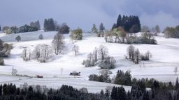 Winterliche Landschaft im Oberallgäu bei Oy-Mittelberg  | Bild:picture alliance/dpa | Karl-Josef Hildenbrand