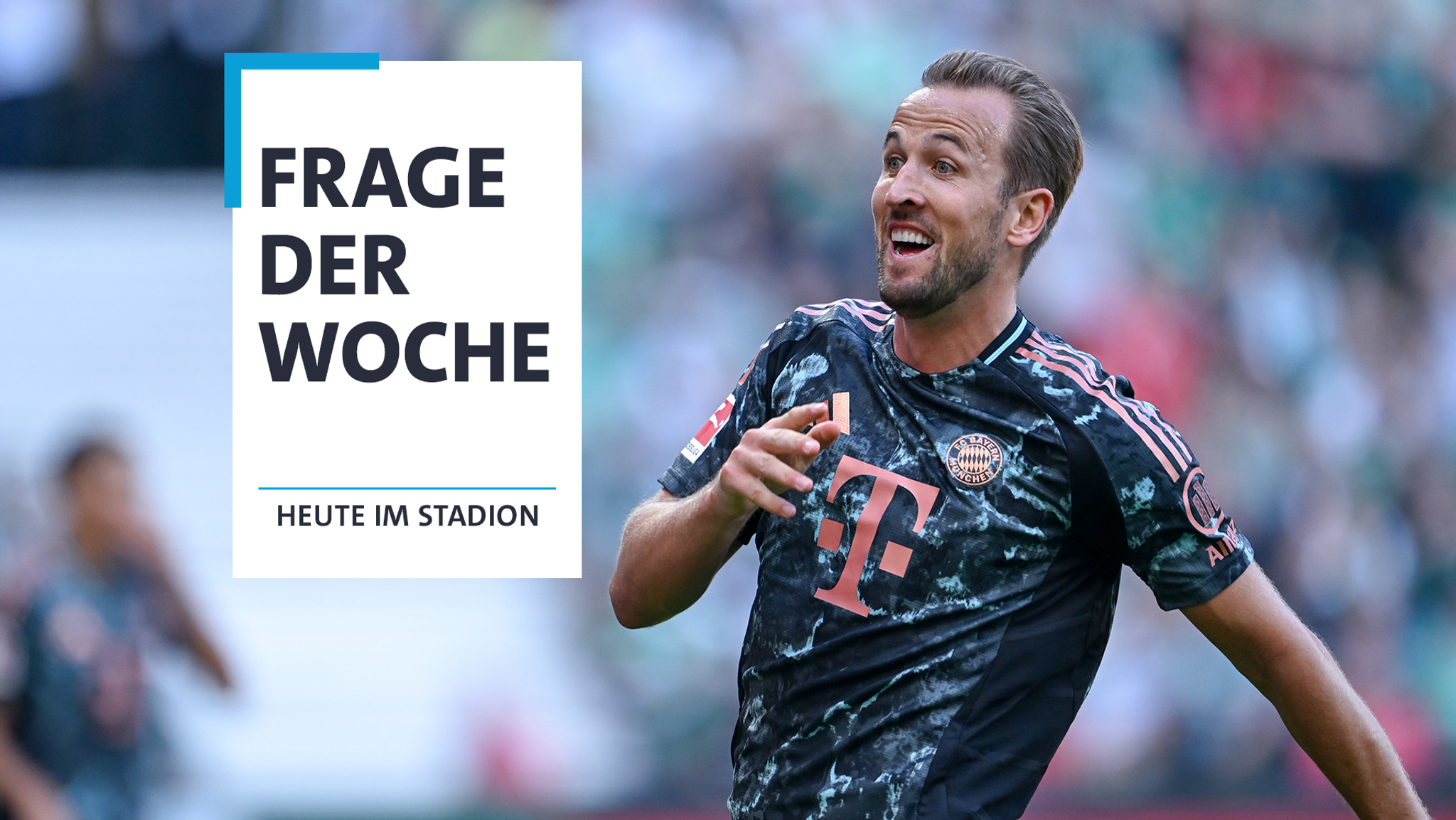 Die Frage der Woche: Wer ist die Nummer eins in der Bundesliga?