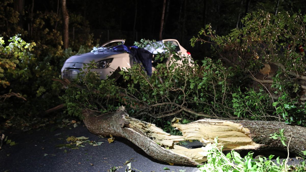 Baum Fallt Durch Fohnsturm Auf Auto Mann Stirbt Bei Kochel Br24