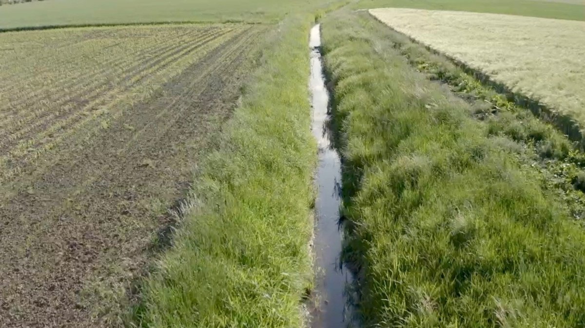Gewässerrandstreifen zwischen bewirtschafteten Feldern.