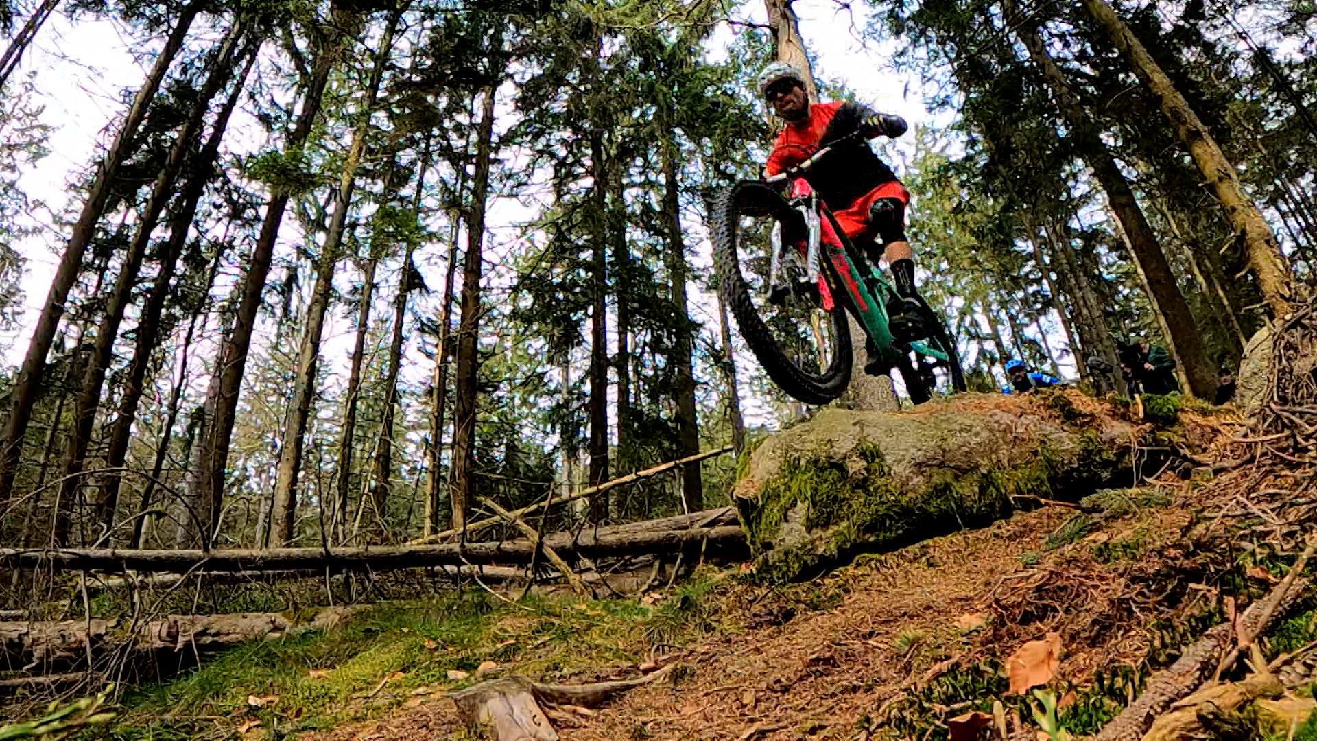 Mountainbiker fährt durch einen Wald