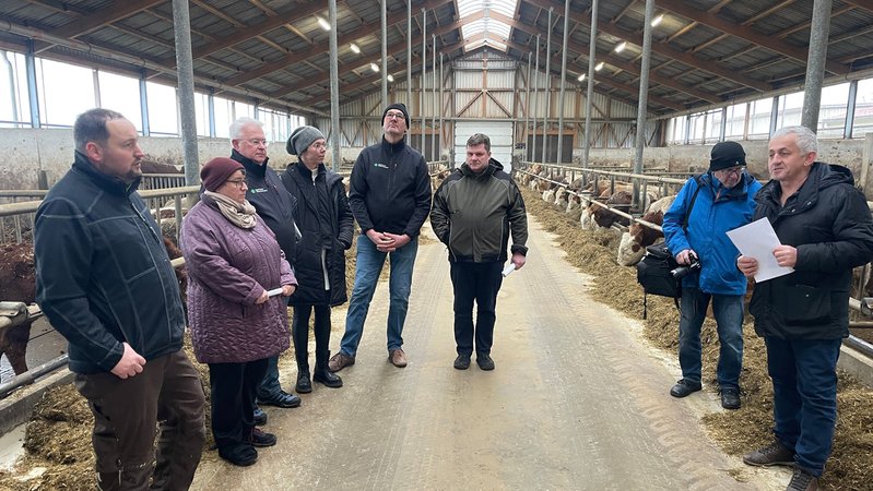Mehrere Landwirte stehen in einem Rinderstall. | Bild: BR24/Julia Demel Mehrere Landwirte stehen in einem Rinderstall.