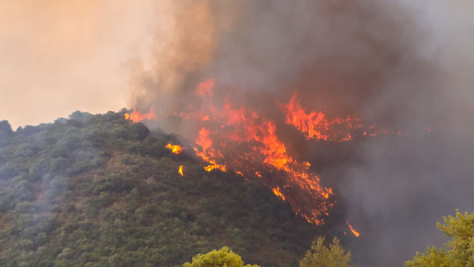 Incendi boschivi – I turisti a Bibione fuggono al mare