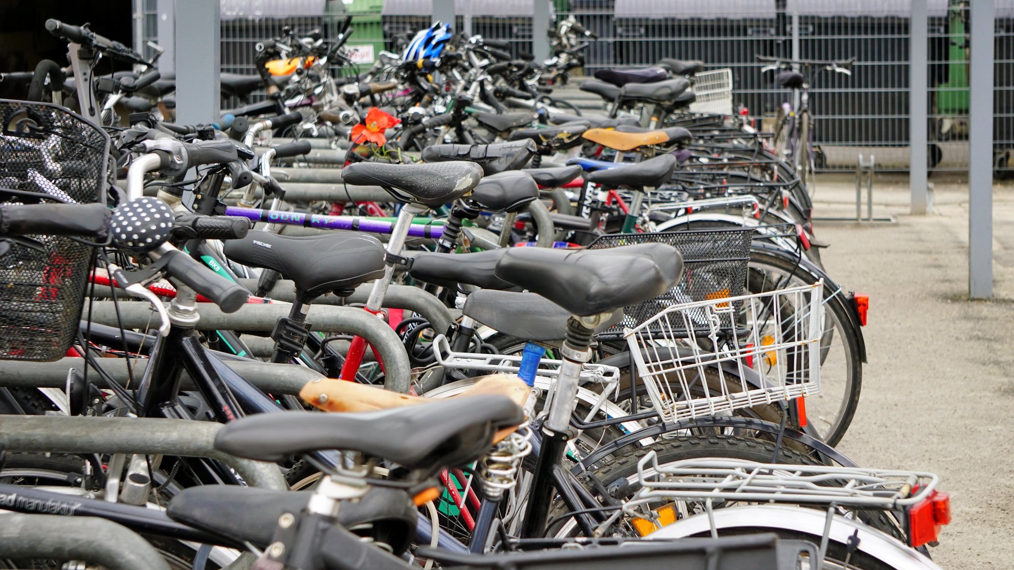 (Symbolbild) In Deutschland gibt es mehr Fahrräder als Menschen