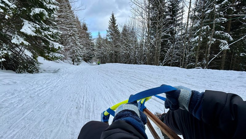 Symbolbild: Rodeln | Bild: picture alliance/dpa/Revierfoto | Revierfoto Symbolbild: Rodeln