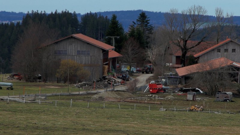 30 tote Rinder: Veterinäramt räumt landwirtschaftlichen Betrieb | Bild: BR 30 tote Rinder: Veterinäramt räumt landwirtschaftlichen Betrieb
