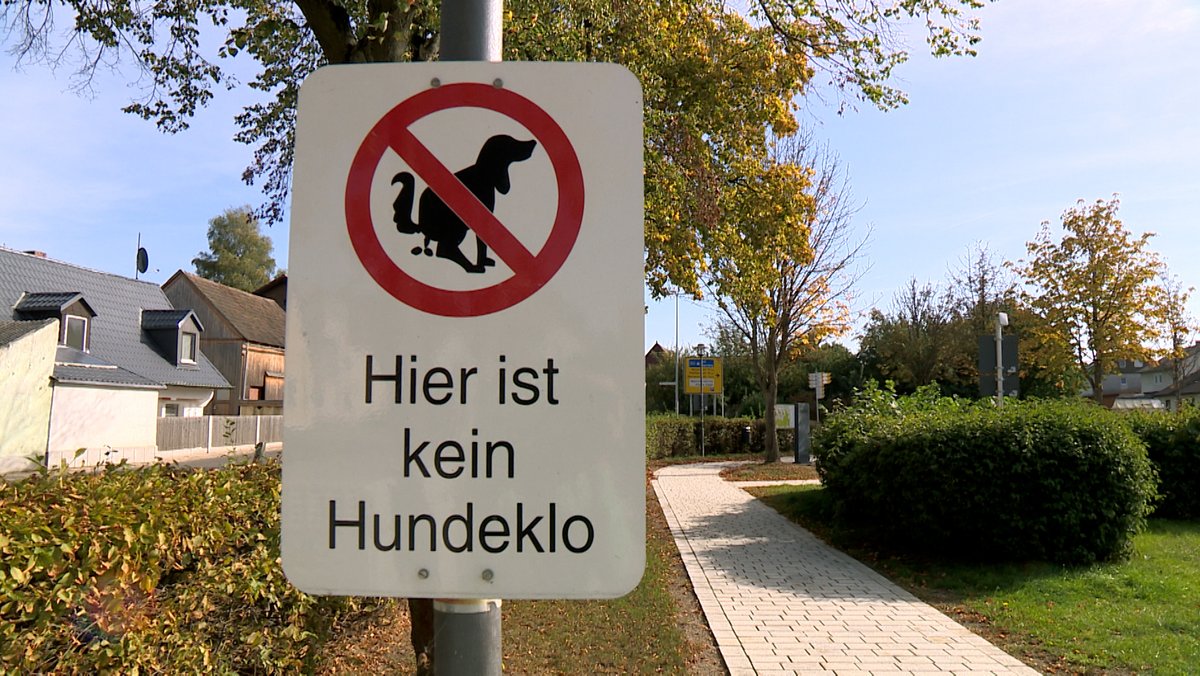 Schild mit der Aufschrift "Hier ist kein Hundeklo"