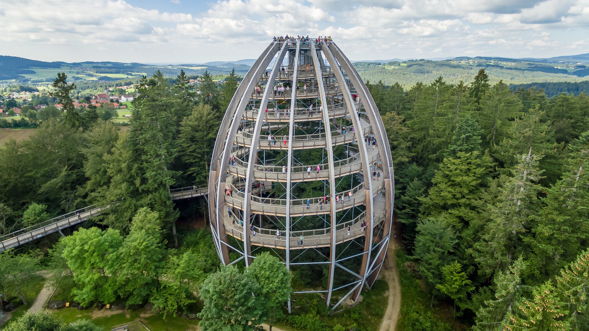 Der Aussichtsturm im Baumwipfelpfad ist 44 Meter hoch. 