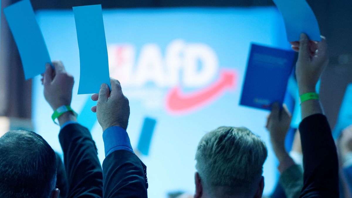 Bayerische Afd Halt An Parteitag Im Teil Lockdown Fest Br24