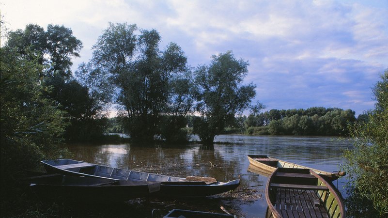 Blick auf einen Teil des letzten frei fließenden Abschnitts der bayerischen Donau bei Stephansposching (Archivbild)