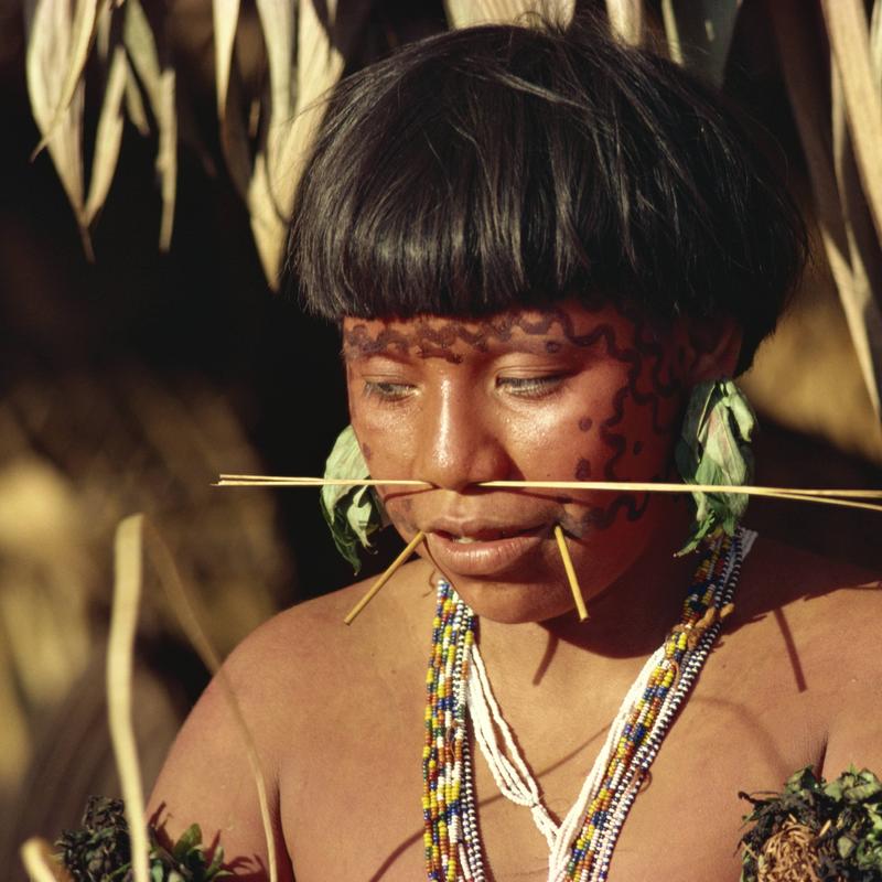 Das Volk der Yanomami Ihr Kampf ums Überleben radioWissen BR Podcast