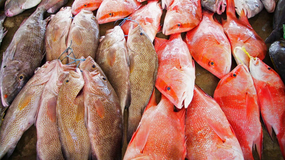 Importierte Speisefische: Steckt der Fisch drin, der draufsteht?