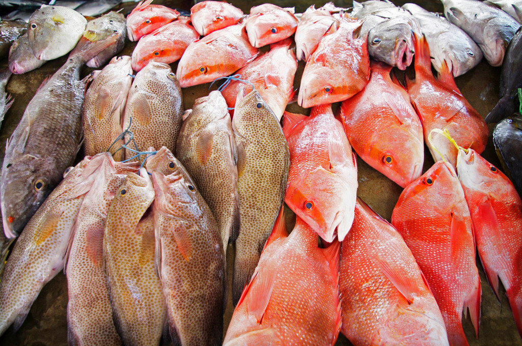 Fischmarkt Sir Selwyn Selwyn-Clarke Market in Victoria mit Red Snapper / Malabar-Schnapper / Roter Schnapper / Lutjanus malabaricus und anderen Fischen, Mahe, Seychellen