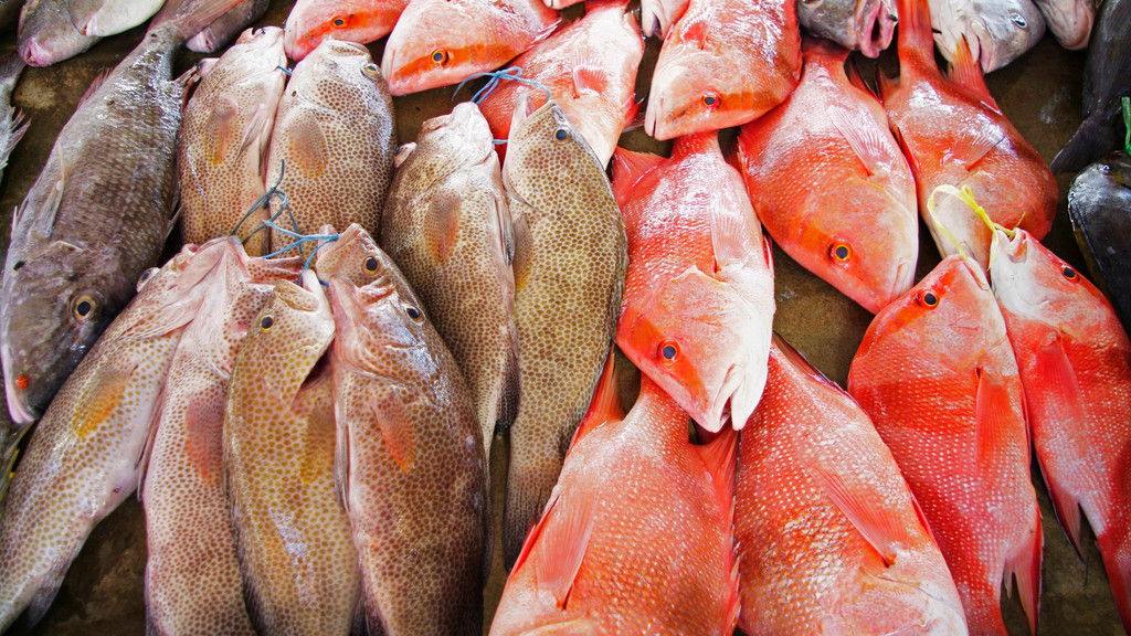 Fischmarkt Sir Selwyn Selwyn-Clarke Market in Victoria mit Red Snapper / Malabar-Schnapper / Roter Schnapper / Lutjanus malabaricus und anderen Fischen, Mahe, Seychellen
