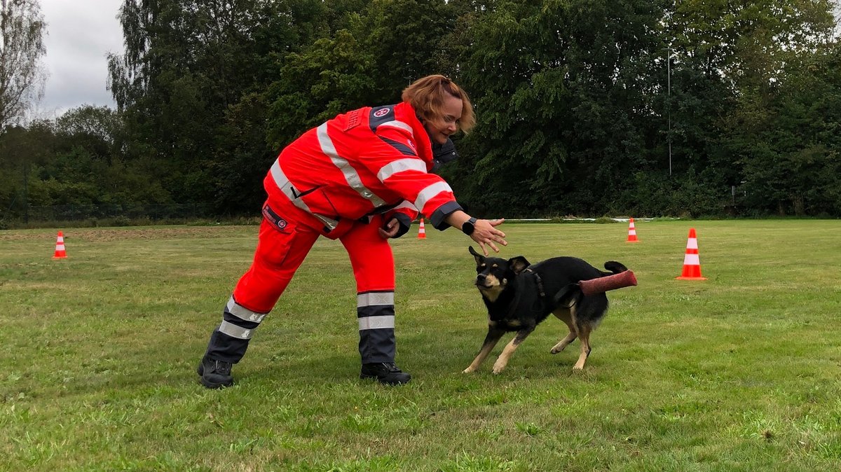 Eine Mitarbeiterin der Johanniter-Rettungshundestaffel Straubing übt auf einer Wiese mit einem Hund. 