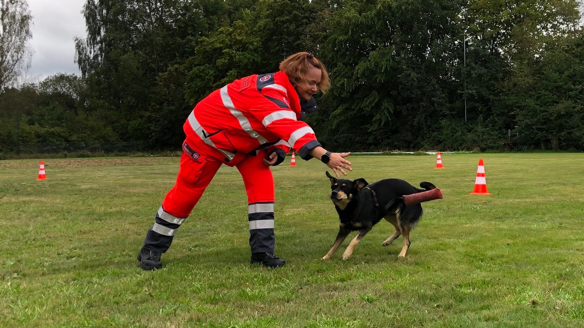 Casting der Johanniter: Wer hat das Zeug zum Rettungshund?   