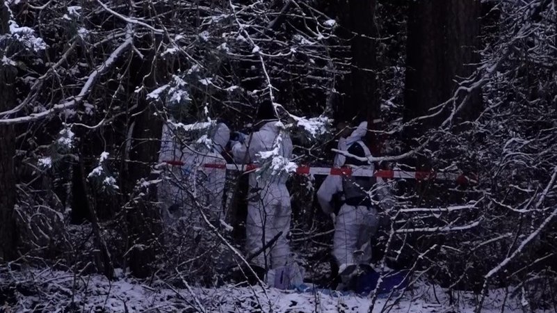 Ermittler finden eine Leiche im Nürnberger Land. | Bild: BR Ermittler finden eine Leiche im Nürnberger Land.