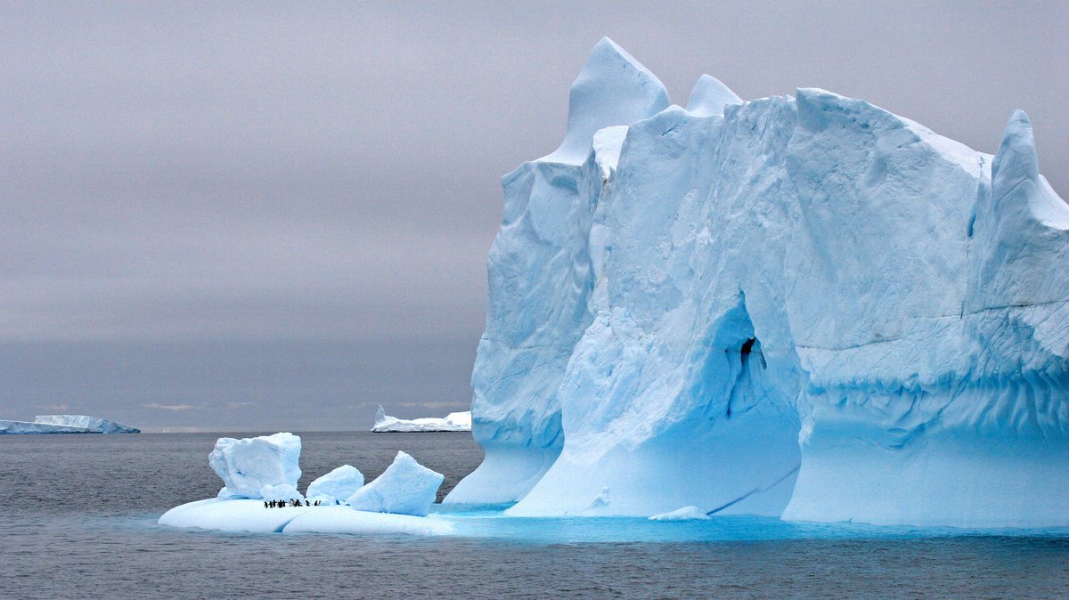 Eisberg in der Weddell-See, Pinguine auf Scholle, Antarktis, Weddell-See 