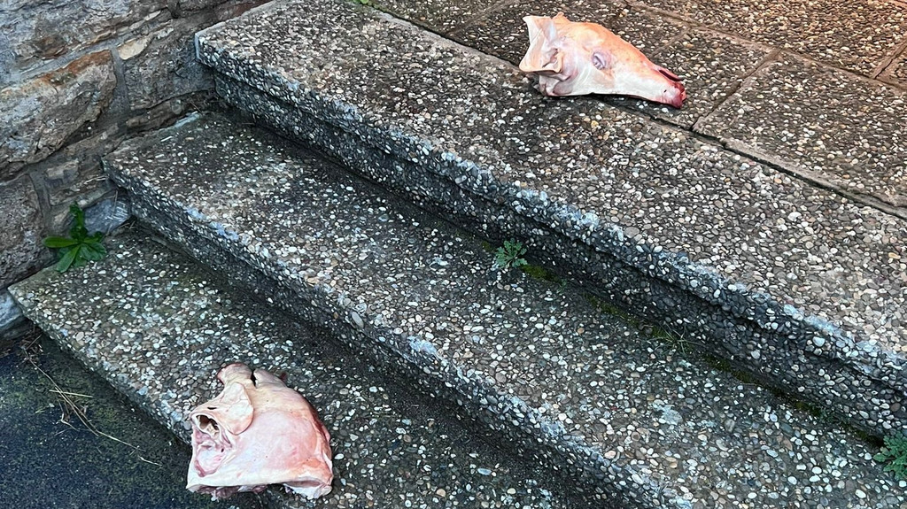 Ein Schweinekopf vor dem Wohnhaus des Hendunger Bürgermeisters | Bild: privat Ein Schweinekopf vor dem Wohnhaus des Hendunger Bürgermeisters