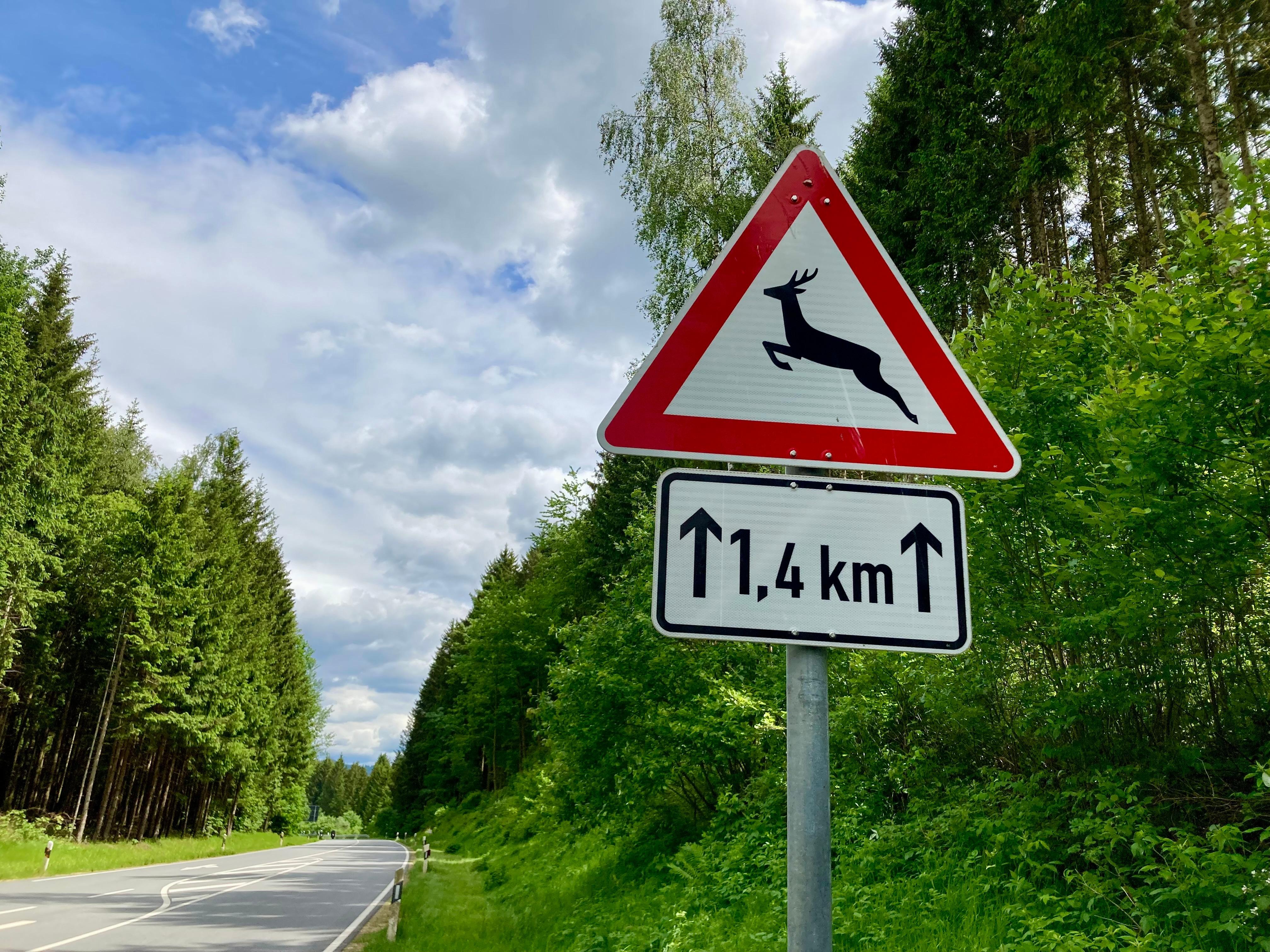 Verkehrszeichen, das vor Wildwechsel warnt.