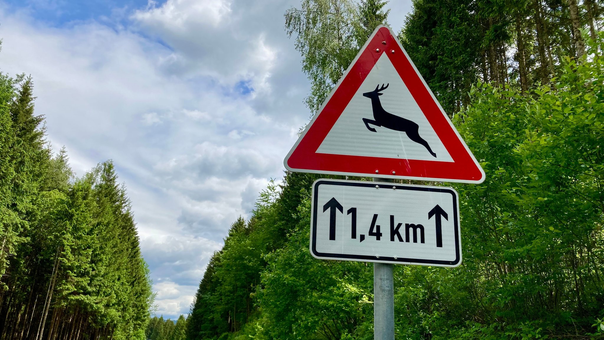 Verkehrszeichen, das vor Wildwechsel warnt.