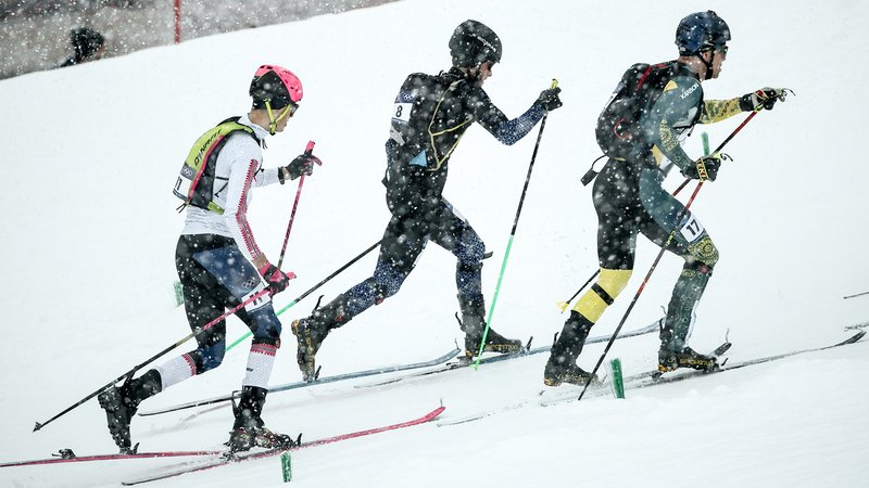 Der Skimo--Streit geht in die nächste Runde | Bild: picture alliance / ZUMAPRESS.com | Mikhail Tereshchenko Der Skimo--Streit geht in die nächste Runde